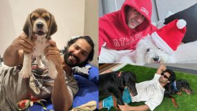 Pet Day Aaman Devgan Kartik Aaryan Varun Dhawan