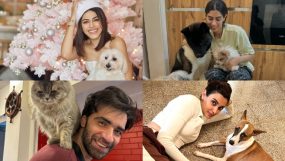 aviansh tiwary, alaya f, khushi kapoor, diana penty,