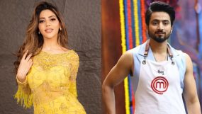 Nikki Tamboli Takes To Social Media To Shun Hypocrites That Accused Her Of Betraying Faisal Sheikh On Celebrity MasterChef
