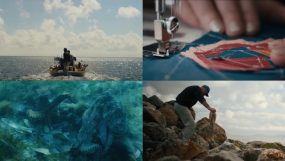 Trailer For Octopus! Out Now