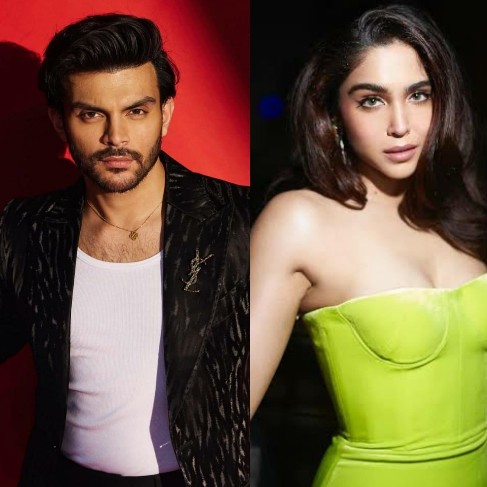 Veer Pahariya and Sharvari