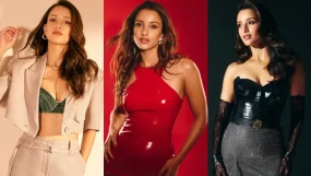 triptii dimri, contemporary fashion,