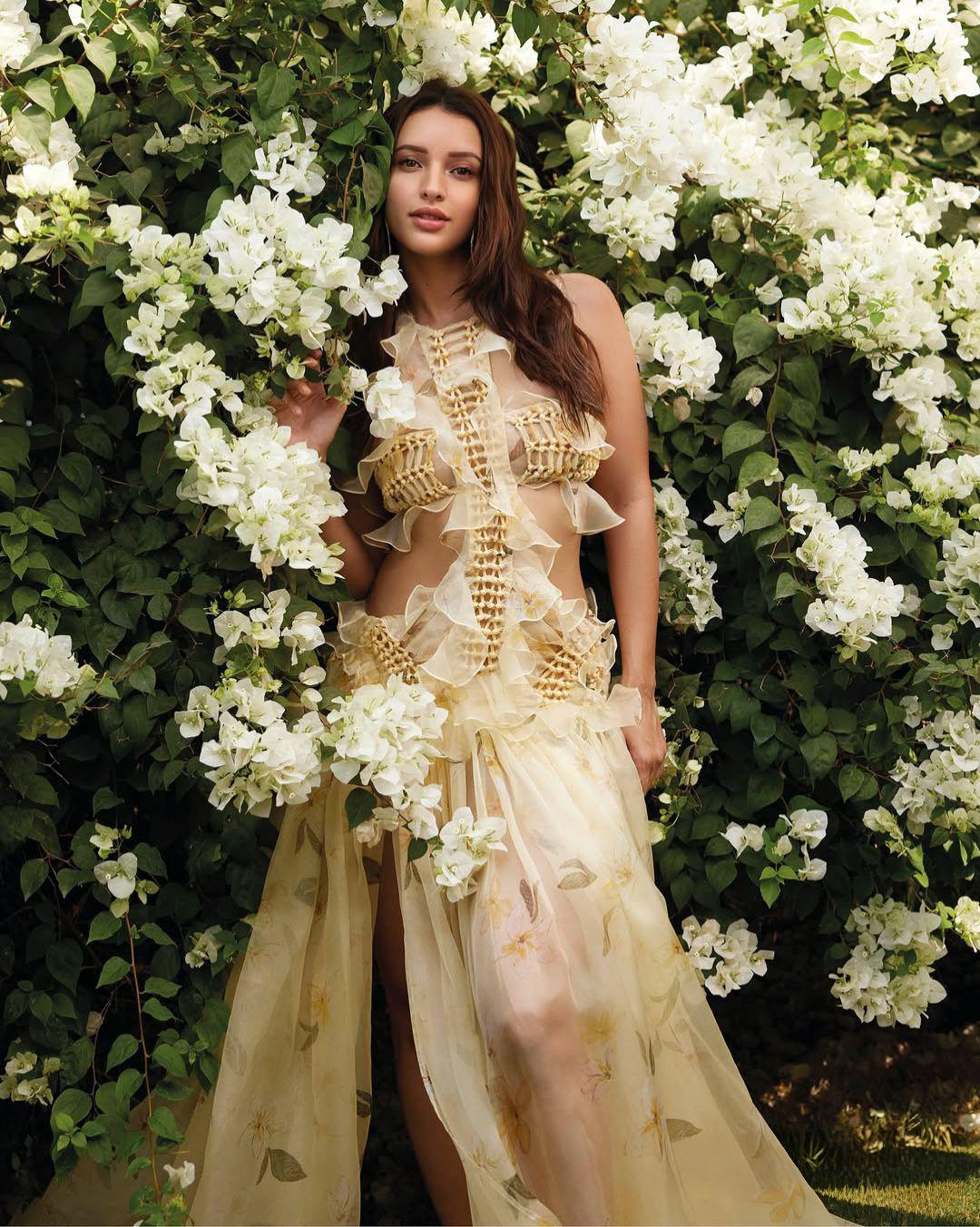 Triptii Dimri in golden