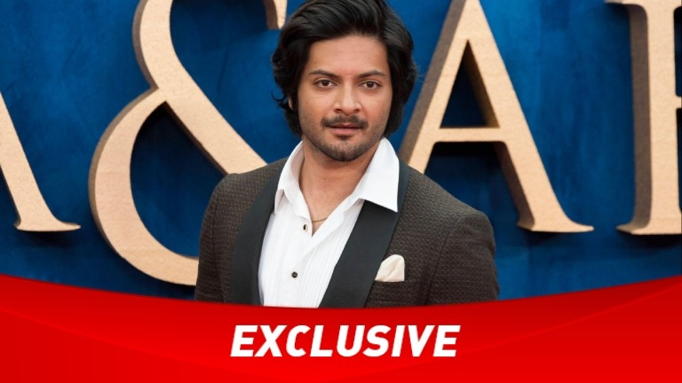 ali fazal, career, first job,