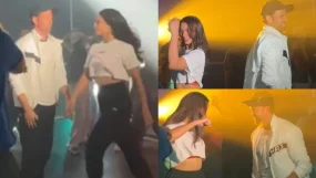 hrithik roshan triptii dimri