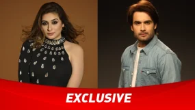 vahbiz dorabjee vivian dsena divorce