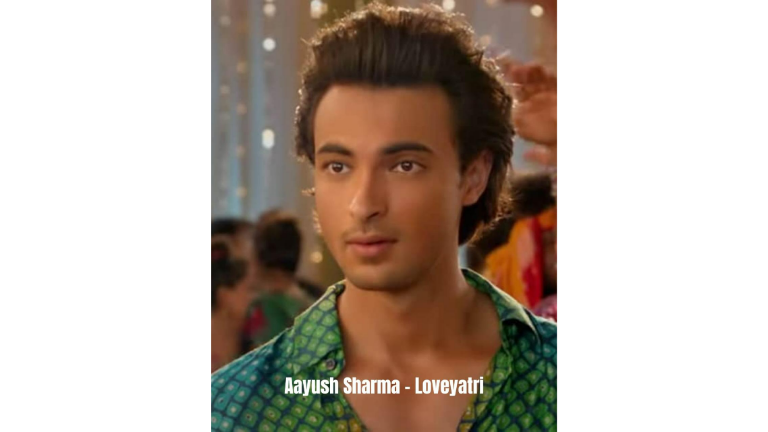 Aayush Sharma Loveyatri