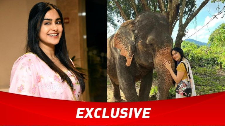 Adah Sharma’s Heartfelt Ganesh Chaturthi Celebration