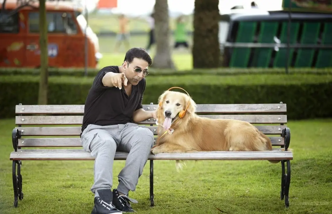 Entertainment - Entertainment