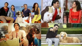 Hum Aapke Hain Koun Dil Dhadakne Do Mard Entertainment