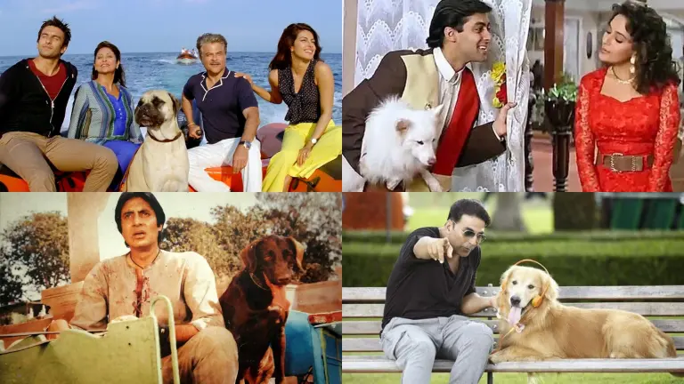 Hum Aapke Hain Koun Dil Dhadakne Do Mard Entertainment