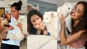 International Cat Day Special: B-Town Cat Moms