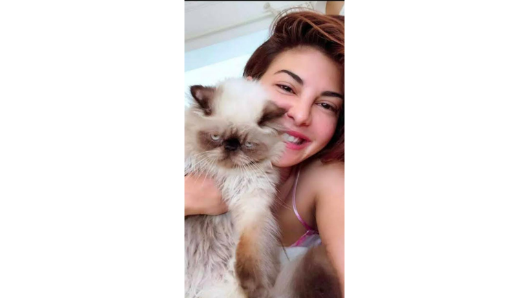 Jacqueline Fernandez with Miu Miu