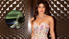 Priyanka Chopra Malti