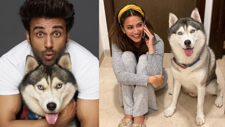 Pulkit Samrat, Kriti Kharbanda- Drogo