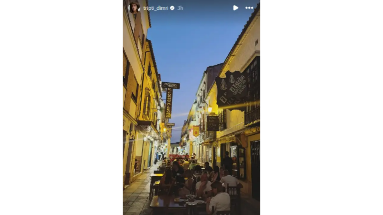 Triptii Dimri Instagram Story