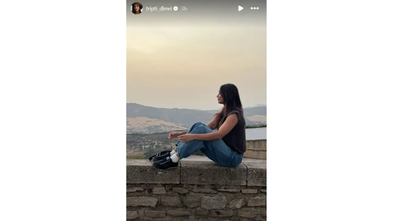 Triptii Dimri Shares Story