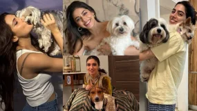 international dog day