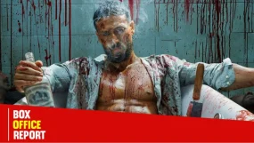 Baaghi 4 Box Office Collection Day 2 Mints Rs 24.54 Cr