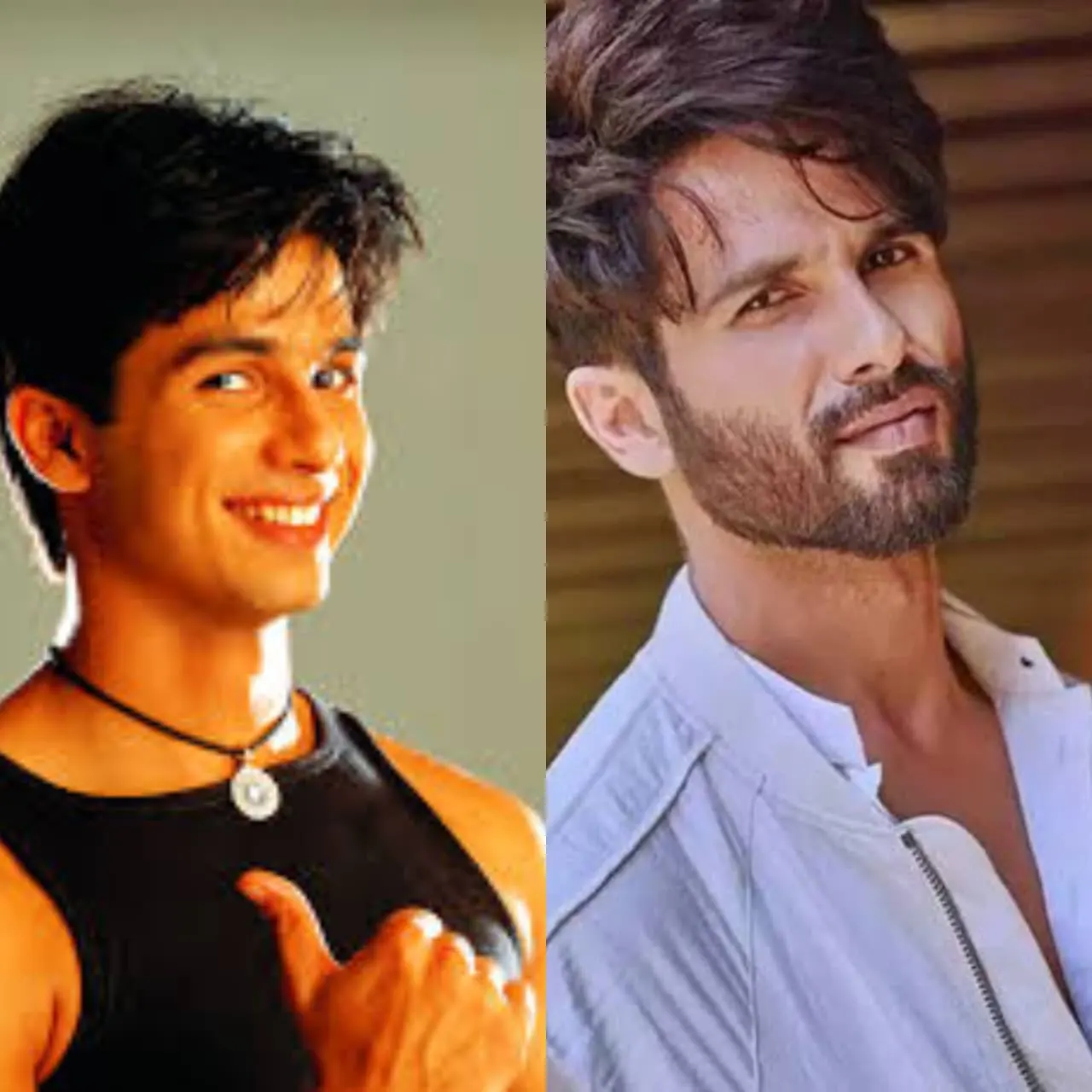 Shahid Kapoor's transformation