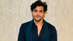 ashish chanchalni truns director for the series Ekaki