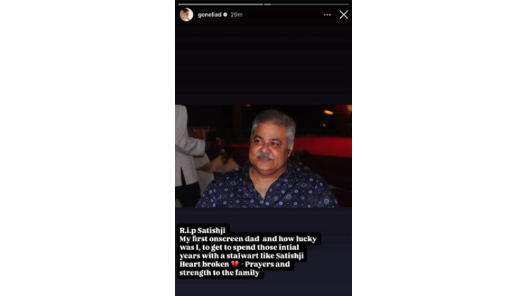 Genelia Deshmukh Shares Instagram Story