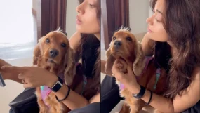 rashmika mandanna flaunts her engagement ring