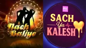 Indian Couple Reality Shows That Redefined Love on Screen