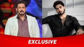 is arbaz patel entering bigg boss 19 as a wild card entry