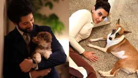 Bollywood Actors Pet