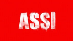 assi writer is the highest paid crew member of the film