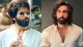 Shahid Kapoor Animal