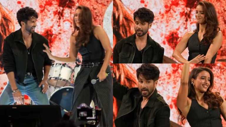 Shahid Kapoor, Triptii Dimri Groove To O'Romeo Song Paan Ki Dukaan