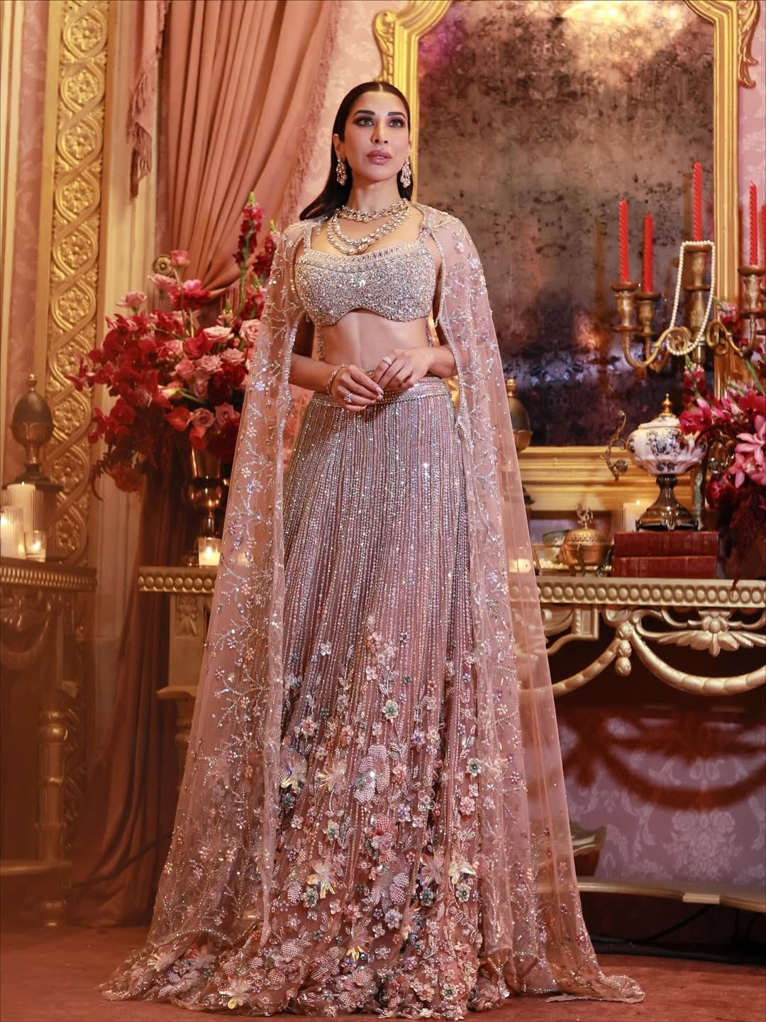 Sophie Choudry In A Blush Pink Lehenga Set