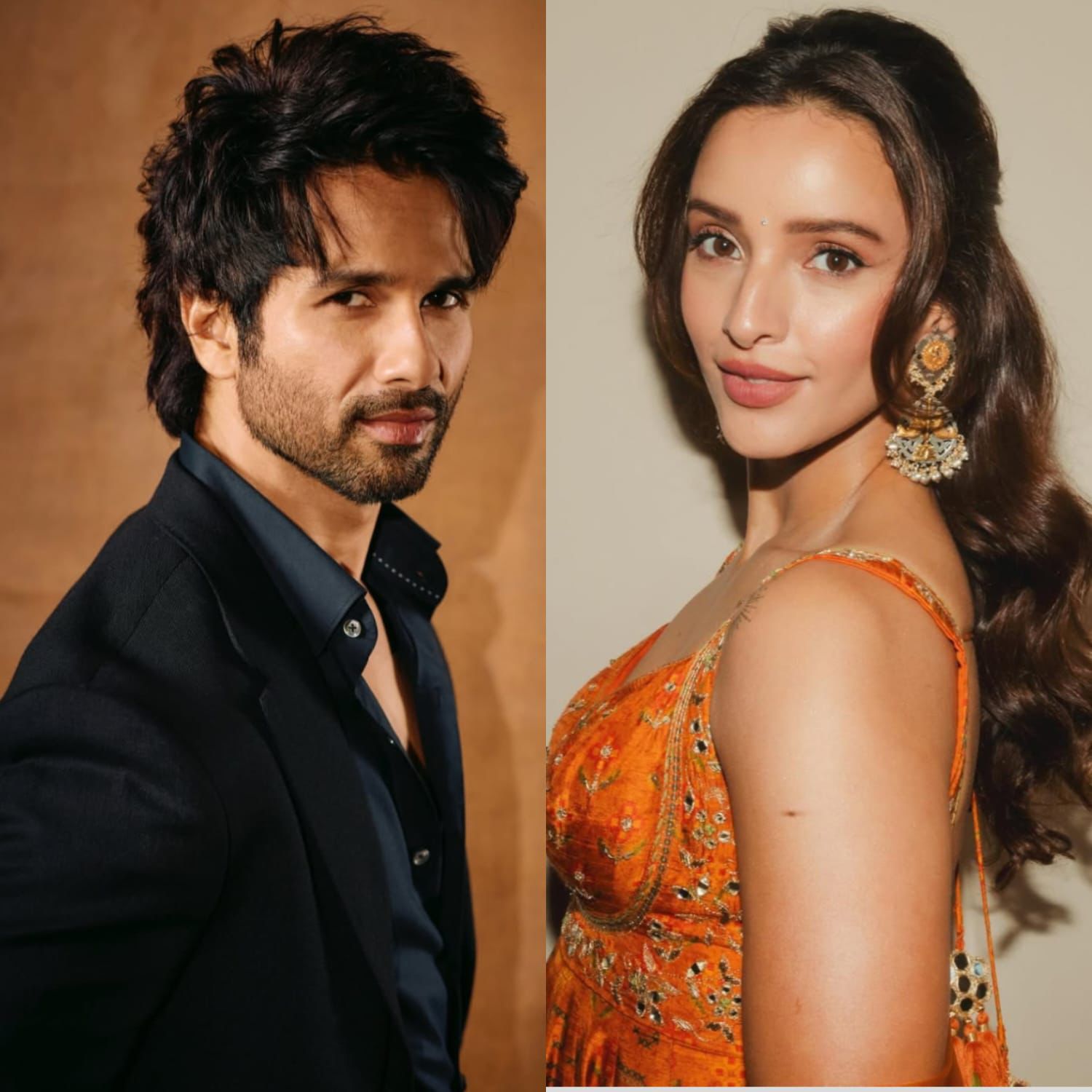 Shahid Kapoor & Triptii Dimri