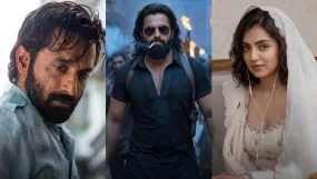 Dhurandhar 2 The Revenge Mollywood