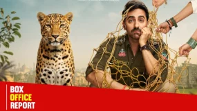 Ayushmann Khurrana Pati Patni Aur Woh Do Box Office