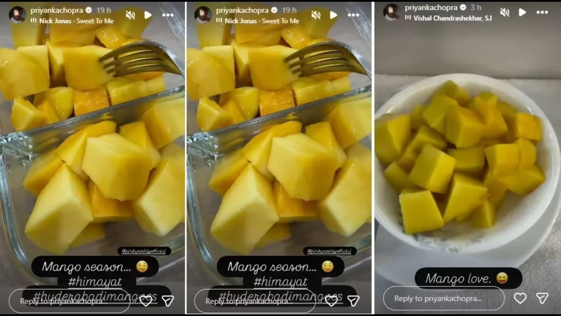 PC indulges in mangoes