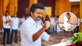 Vijay Thalapathy Tamil Nadu Elections