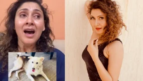 Manjari Fadnis Alleges Society Dog Mikey Was Hit With Rod