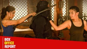 Alia Bhatt Sharvari Alpha Box Office