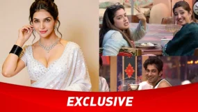 Bigg Boss 20 Kriti Verma Aman Gandhi Amrapali Dubey