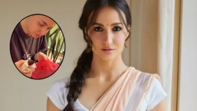 Elli AvrRam