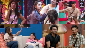 Bigg Boss 20 Aman Gandhi Nakul Dhull Arishfa Khan Kanika Mann